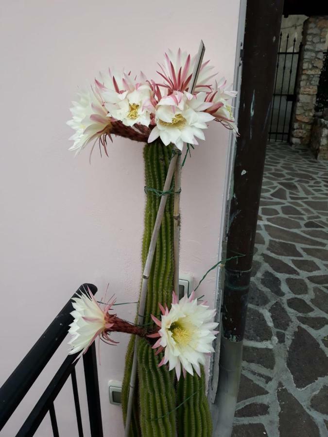 La Villa La Spezia Zewnętrze zdjęcie